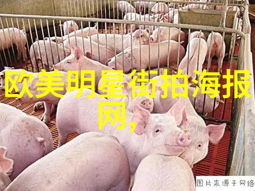 运动衣的保养和洗涤方法有哪些如何保证运动衣的清洁和整洁