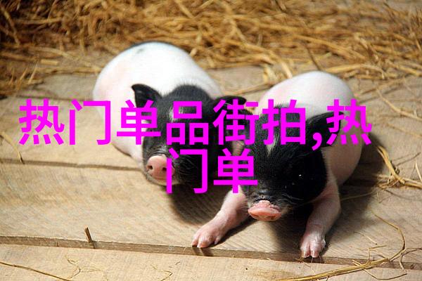 春日新色彩轻盈时尚的季节之韵