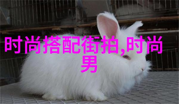 自自然风格自理如何用剪刀和梳子打造时尚造型