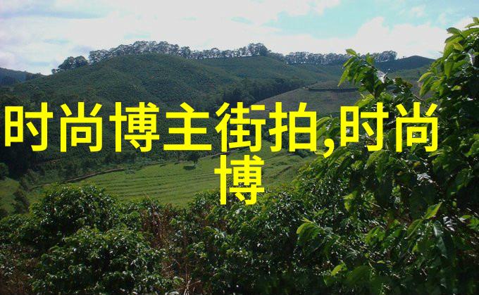 从零到英雄如何根据自己的脸型选择最佳短发造型