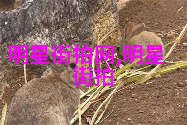 美发技艺视频教学中如何更好地理解理论知识