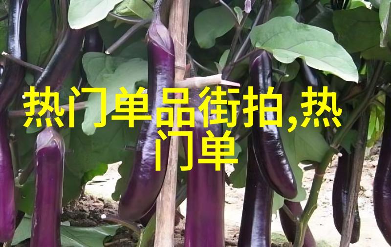秦朝的遗踪探寻古文明的足迹