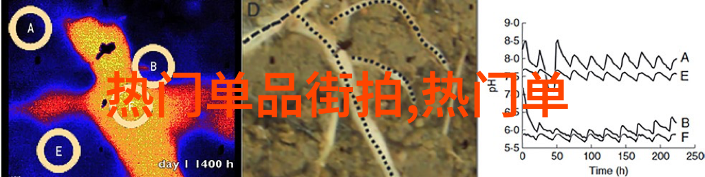 熟睡的妻子公侵的悲剧