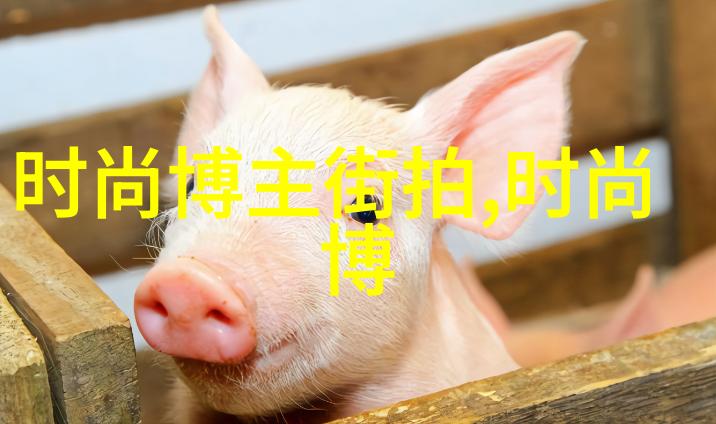 星际辉煌之旅探索宇宙的无限可能性