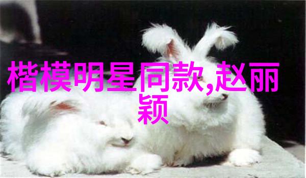 女明星冬季穿搭羽绒服我是如何让自己的羽绒服变身时尚符号的