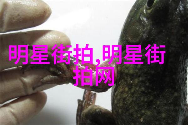 教授你别跑老爸教我的为什么我再也不敢乱跑了