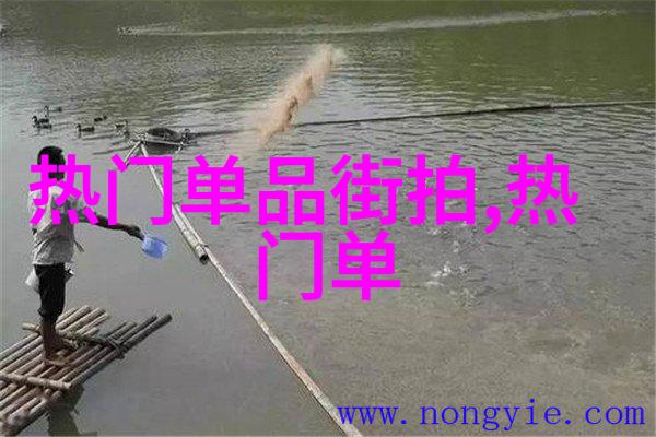 优衣库旗舰店-引领时尚潮流的购物新体验