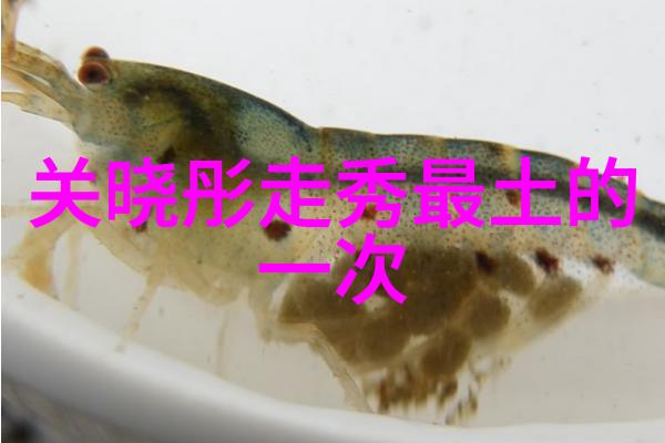 高级休闲商务人士适用的中分与寸头搭配技巧