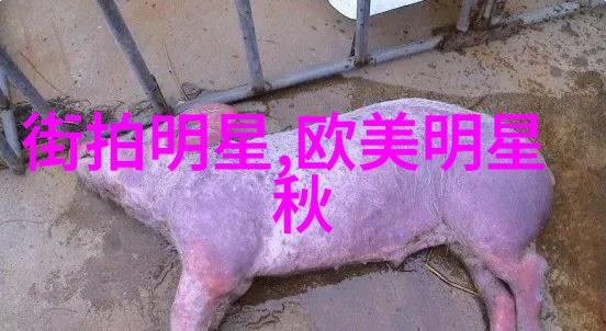 男生夏天穿衣搭配指南教你轻松打造夏日型男风