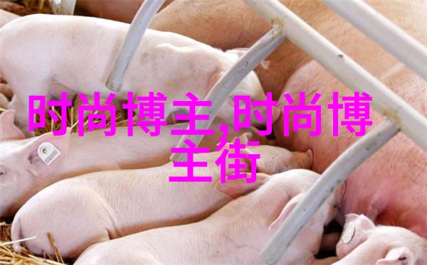 时光的旋律Cindy的歌声