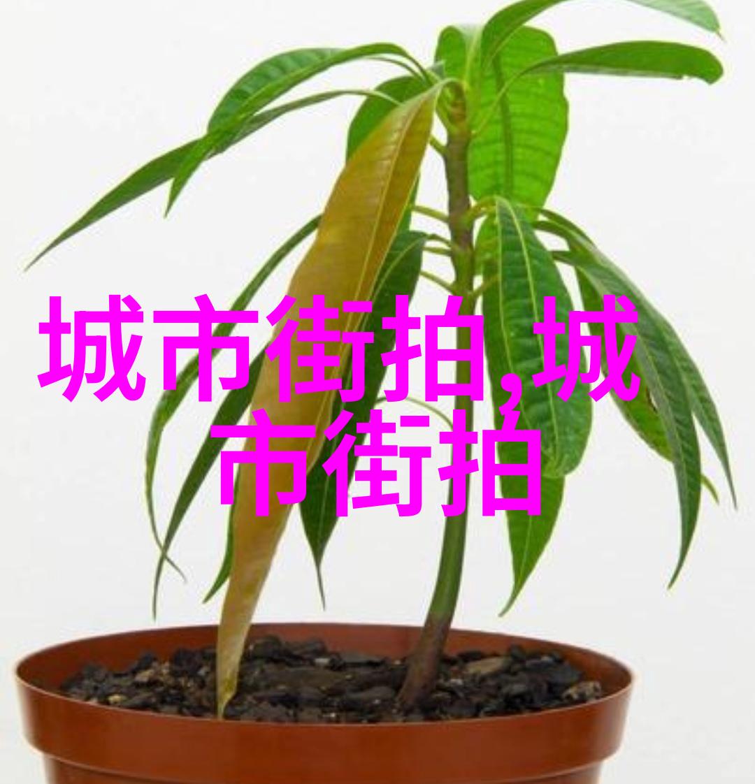 酒店员工专业制服华丽时尚的酒店员工制服