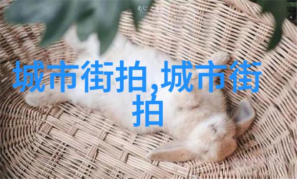 不需要专业工具这些家常物品也能做出精致风格