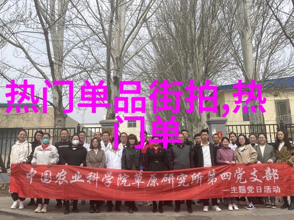 温暖守护加绒卫衣的舒适魅力