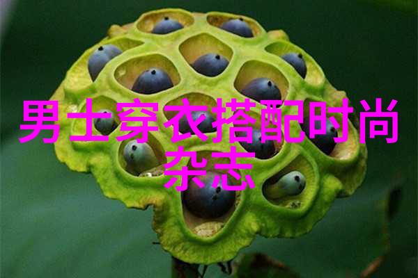 26个秘密我亲自揭开的那些不为人知的事实