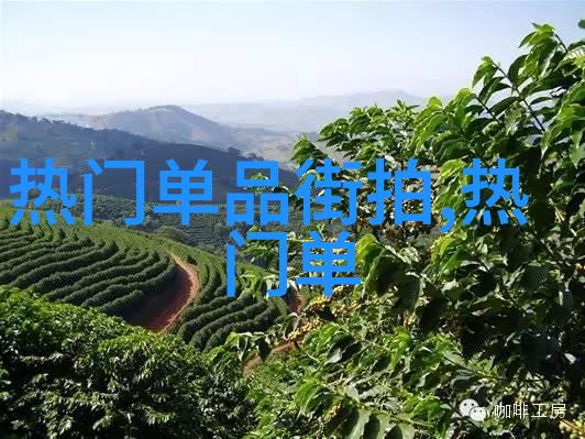古籍中的秘密阿蒂仙之香的传说