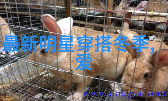 型男在乡村的时尚足迹探索田野之美与都市气息