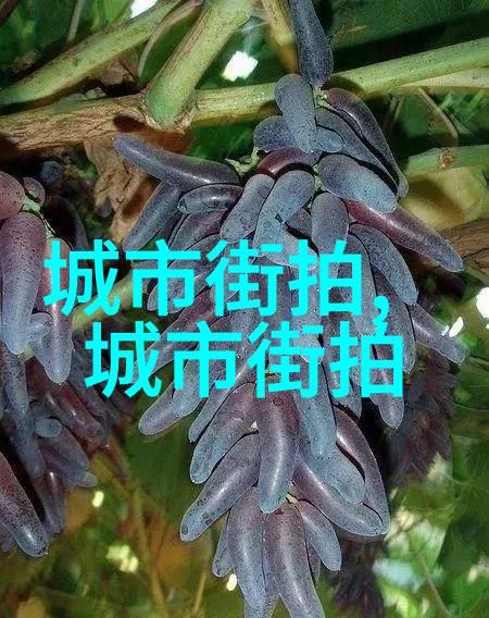 深夜的孤灯下我想你好苦