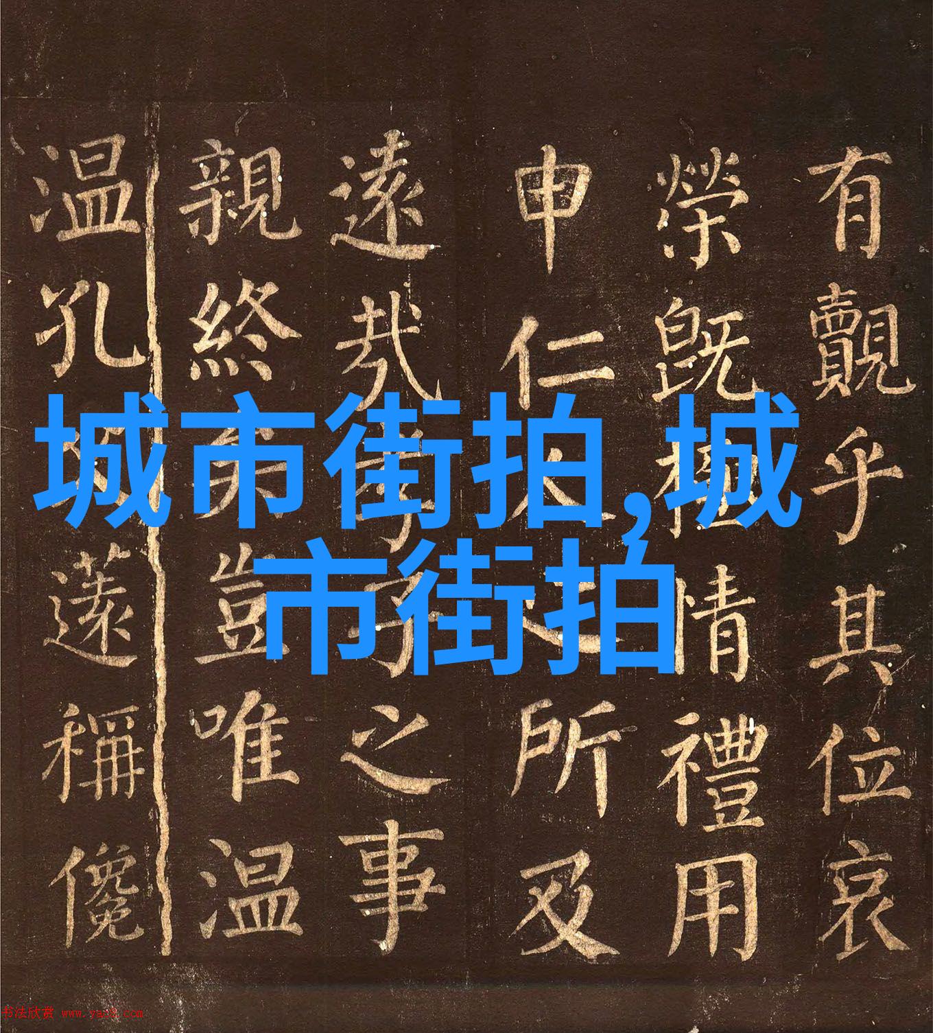 351背后的数字密码解开秘密的钥匙在哪里