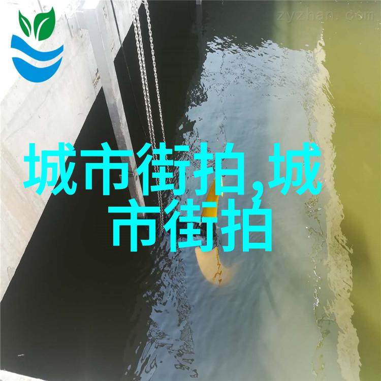 理发美容美发培训学校未来行业的新宠