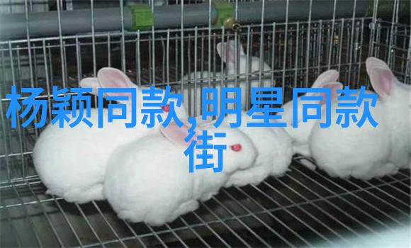 第二次初恋-重燃青春关于再遇初恋的温柔告白