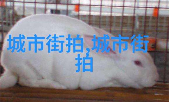 戮仙 萧鼎 小说我是萧鼎你们这些仙人真是太不要脸了