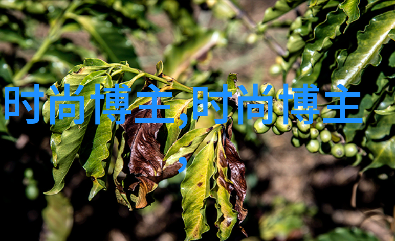 4ktube xxhd - 超高清视听盛宴探索4KTube的XXHD视频世界