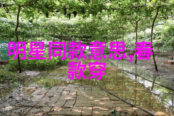 镜子前刀锋下女人为何选择在家自学剪短发