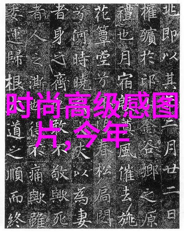 从基础到高级深入理解美发剪头的应用