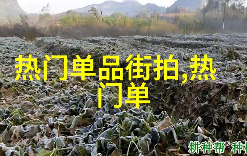 为何有些电视剧会使用实景拍摄而不是依赖虚拟背景和数字化效果来节省成本呢