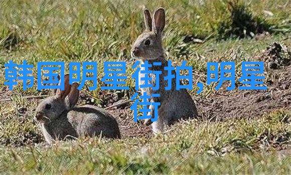 数字的力量1111背后的文化象征与未来趋势