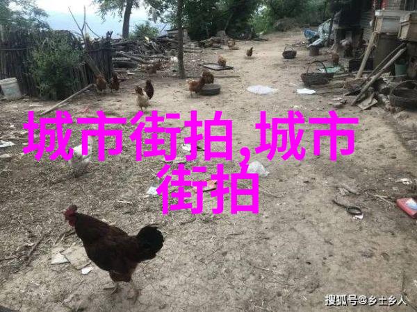 拉链卫衣的秘密为什么它总是让你感到既温暖又自由