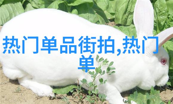 发型设计-完美造型指南如何根据个人特点选择和设计适合自己的发型