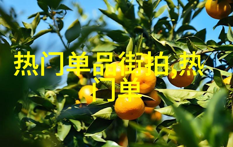 为奴十二年影片下载电影下载
