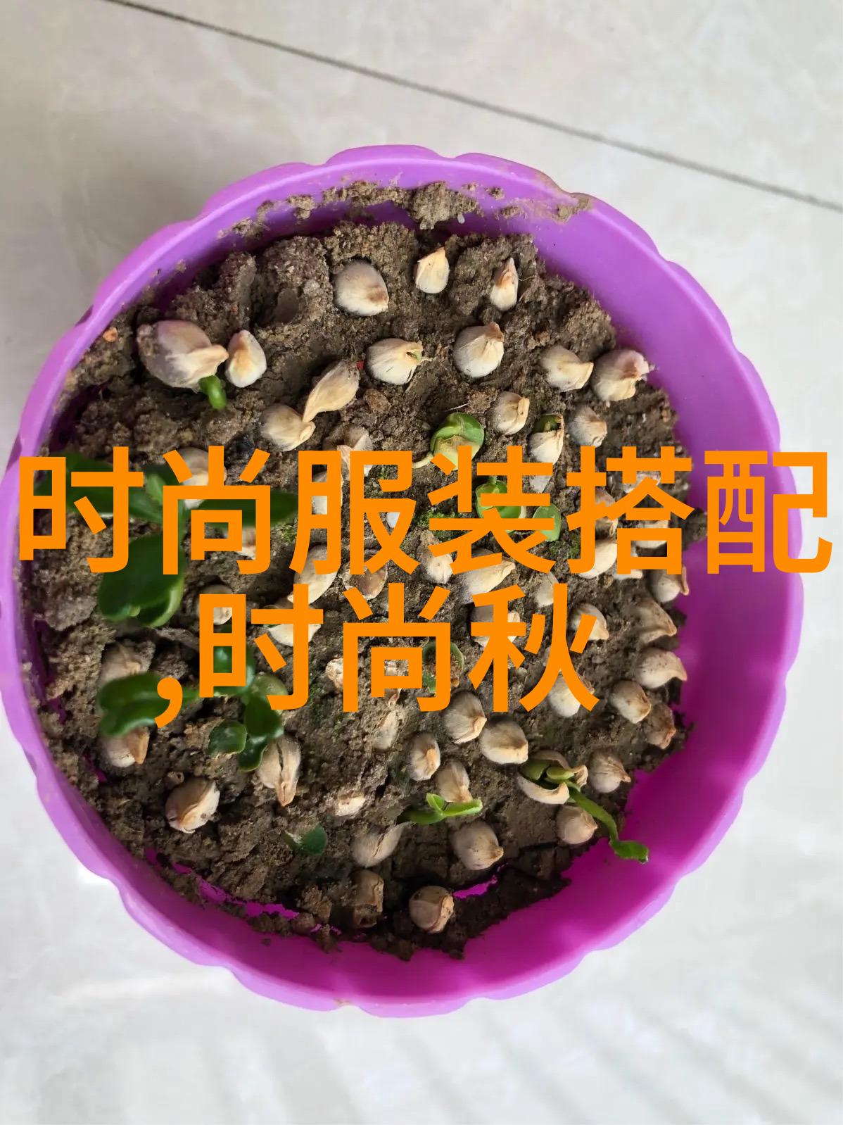 剪影流动年轻女性的短发新篇章