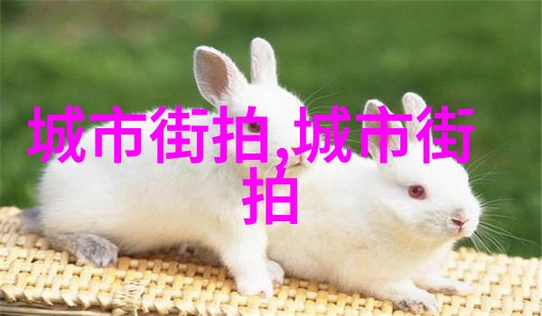 拉斯维加斯卡地亚新店开张