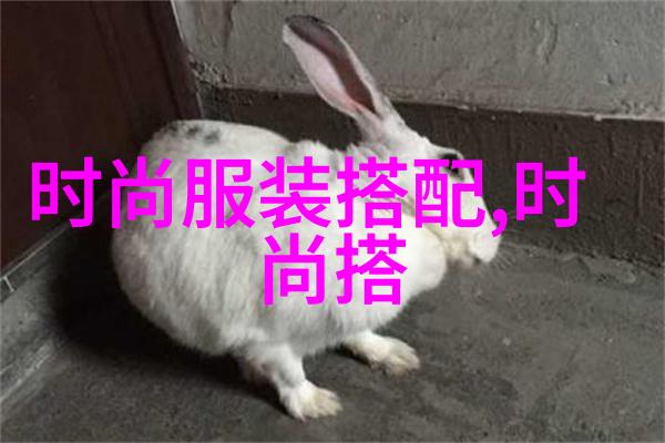 美发学校课程体系系统全面覆盖各种发型设计与护理技术