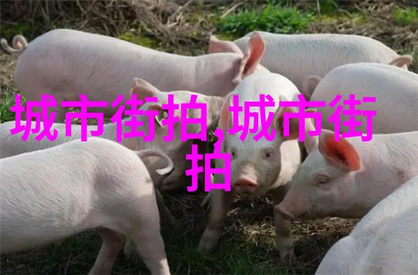 剪发不再难7大剪法让你成为理发界的神通大师