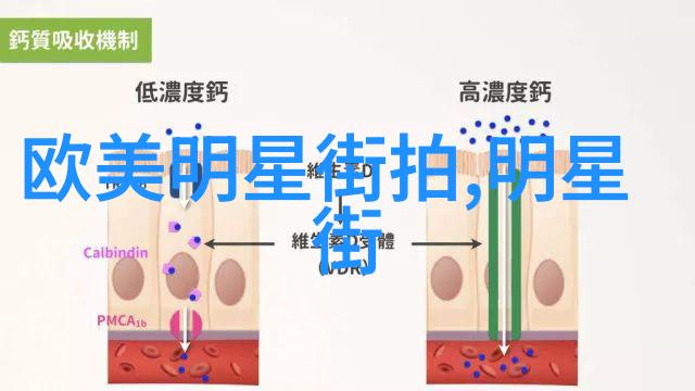 脸型完美匹配的短发时尚指南