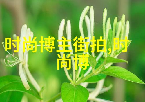 qvod25探索数字视频时代的新篇章