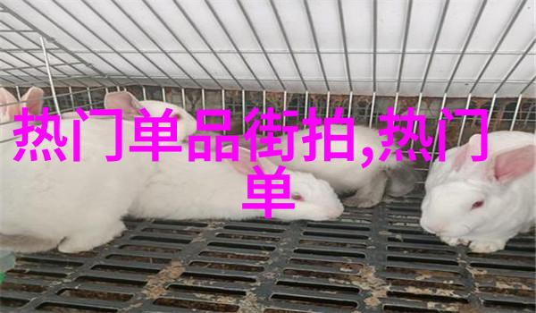 我的男士裤子穿着它我就是时尚大师