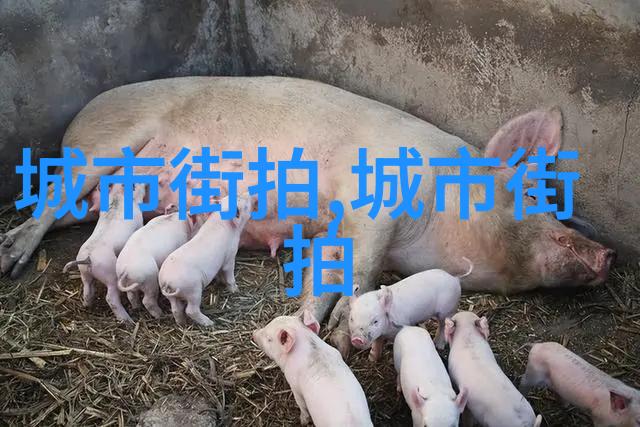 春日出行的时尚指南如何搭配衬衣让你焕发青春气息