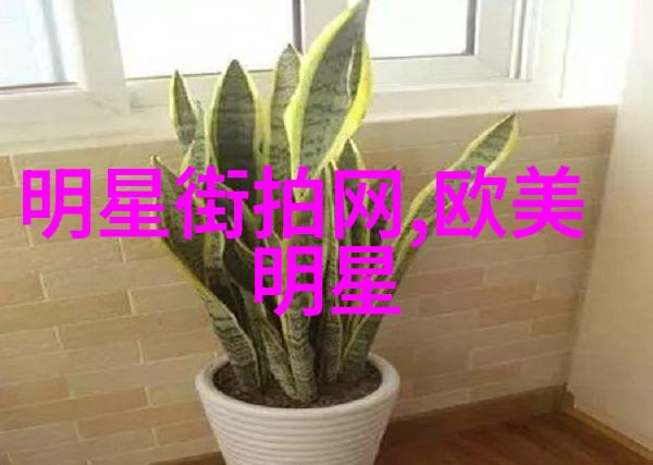 绽放的轻奢细节中的艺术与品味