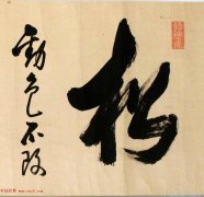 潮流编织者时尚博主的心灵抽象画