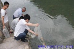 时尚博主街拍-街头潮流风潮下的时尚