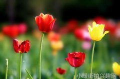热门单品街拍时尚潮流单品的街头魅