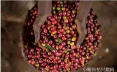 韩国明星街拍-探秘韩国明星的街头时
