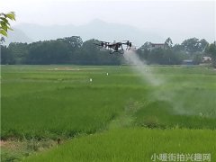 买明星同款叫什么行为-揭秘明星效应