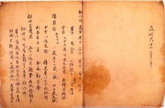 明星服饰为何价格不菲揭秘昂贵明星