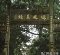 时尚博主揭秘时尚圈的潮流风向
