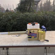 欧洲明星街拍哪些单品值得入手